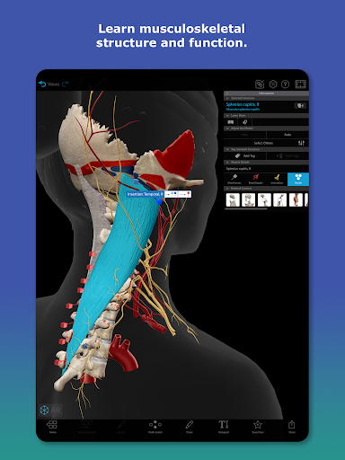 Human Anatomy Atlas 2025 - Interactive 3D Anatomy App | Free