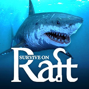 Survive on Raft