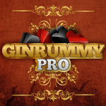 Gin Rummy Pro
